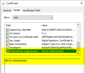 OPENSSL EXTENDED KEY USAGE visual data 4